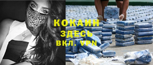 гашик Алзамай