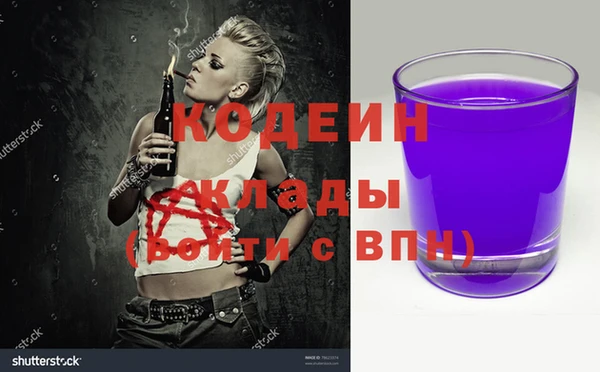 гашик Алзамай