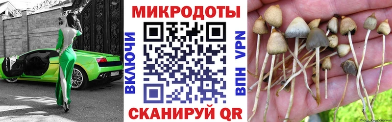Галлюциногенные грибы мицелий  Грайворон 